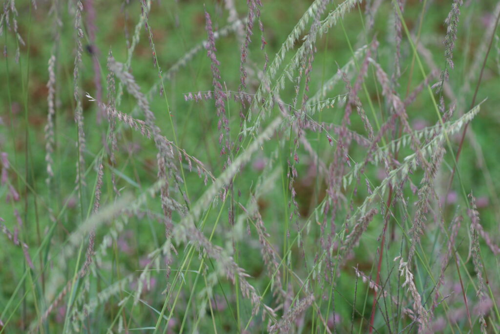 125_2598 Emory Knoll Farms Emory Knoll Farms